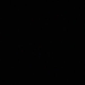 Meet your Posher, Jared